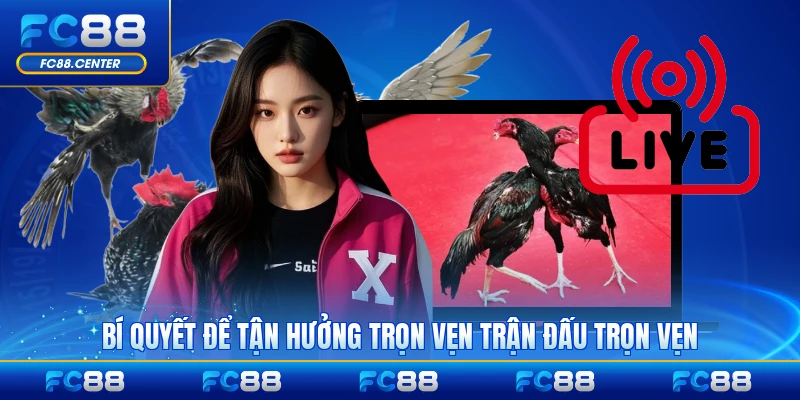 Bí quyết để tận hưởng trọn vẹn trận đấu trọn vẹn nhất