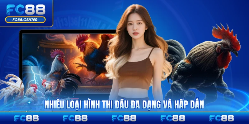 Nhiều loại hình thi đấu đa dạng và hấp dẫn thu hút