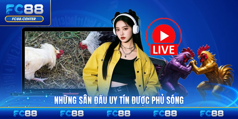 Những sân đấu uy tín được phủ sóng hiện nay rộng rãi