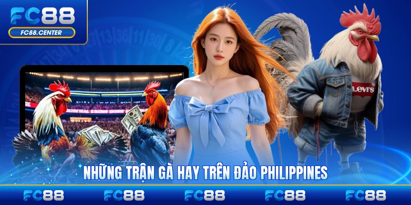 Những trận gà hay trên đảo Philippines hấp dẫn nhất