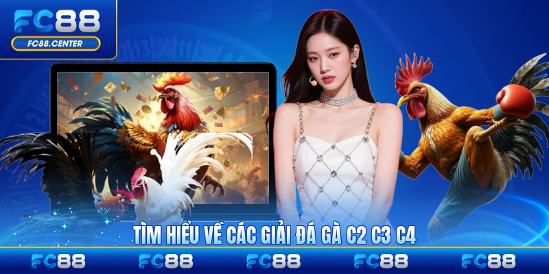 Tìm hiểu về các giải đá gà C2 C3 C4 chuyên sâu nhất