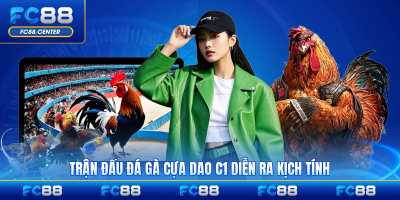 Trận đấu đá gà cựa dao C1 diễn ra kịch tính hấp dẫn nhất