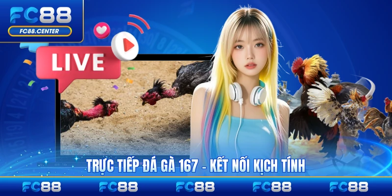 Trực Tiếp Đá Gà 167 - Kết Nối Trận Đấu Kịch Tính